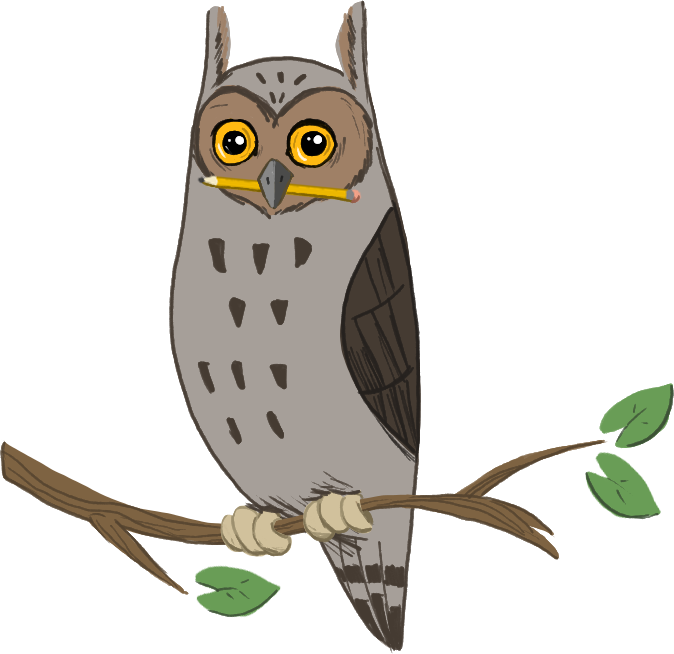 drawing of an owl